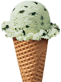 Mint Chocolate Chip